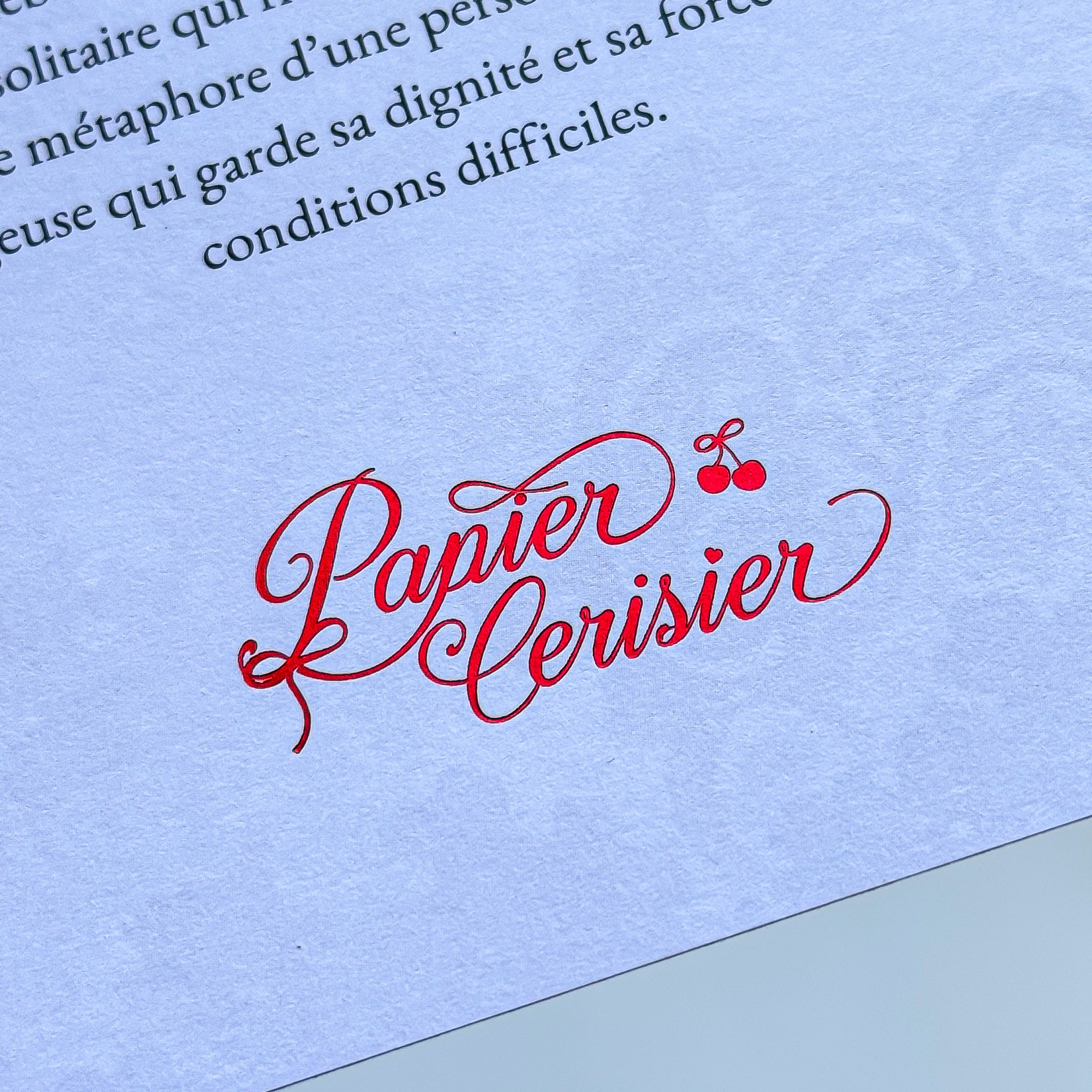 Box « L’Arrivée du Printemps » — Édition Cerise